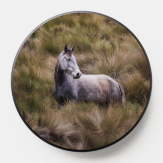 Beautiful Gray Colored Horse PopSocket