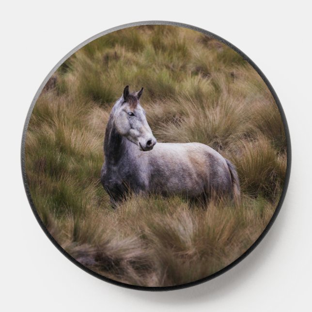 Beautiful Gray Colored Horse PopSocket (Popsocket)