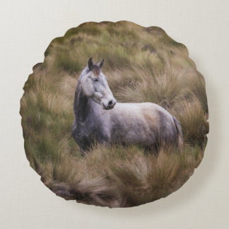 Beautiful Gray Colored Horse Round Pillow