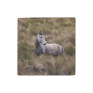 Beautiful Gray Colored Horse Stone Magnet