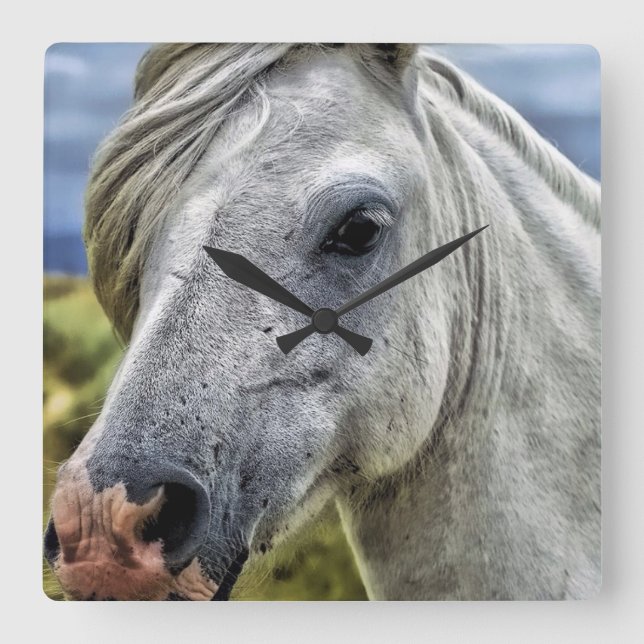 Beautiful gray horse clock (Front)