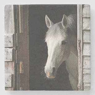 Beautiful Gray Mare Horse Animals Stone Coaster