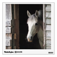Beautiful Gray Mare Horse Animals