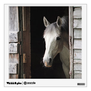 Beautiful Gray Mare Horse Animals Wall Decal