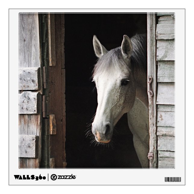 Beautiful Gray Mare Horse Animals Wall Decal (Front)