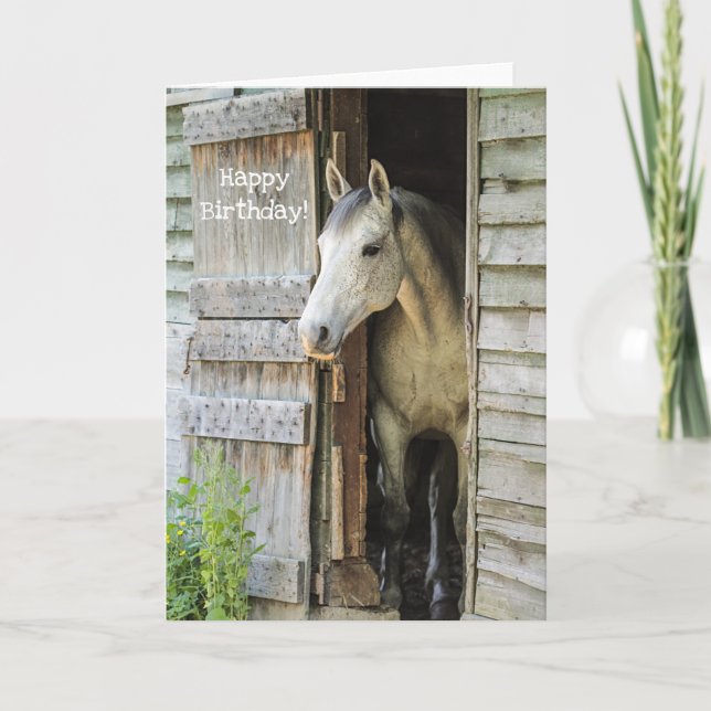 Beautiful Gray Mare Horse Custom Happy Birthday Card (Front)