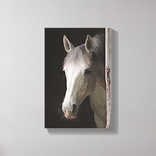 Beautiful Gray Mare HORSES Canvas Print