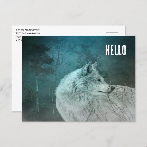 Beautiful Gray Wolf in a Dark Forest Postcard