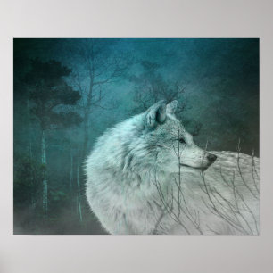Beautiful Gray Wolf in a Dark Forest Poster