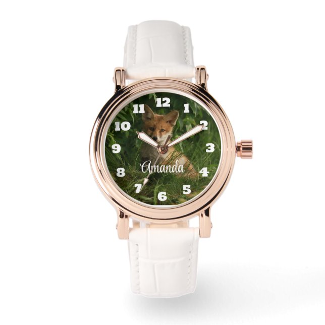 Beautiful Gray Wolf in a Dark Forest Watch (Front)