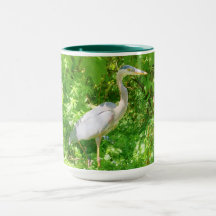 Beautiful great blue heron in the wild mug