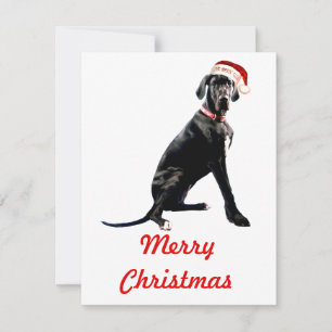 Beautiful Great Dane in Santa Hat Note Card