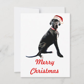 Beautiful Great Dane in Santa Hat Note Card