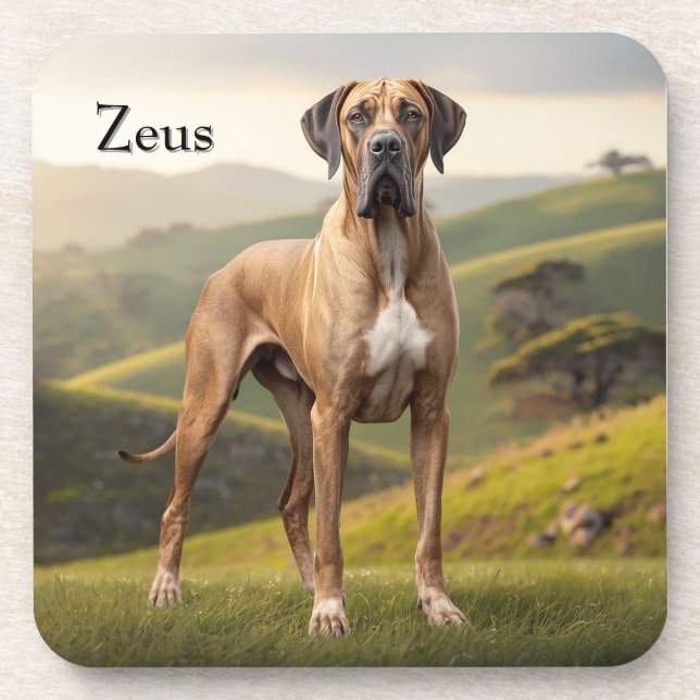 Beautiful Great Dane Personalized Coaster Set (Front)