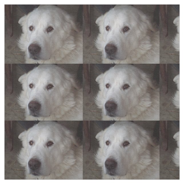 Beautiful Great Pyrenees Dog Fabric (Swatch)