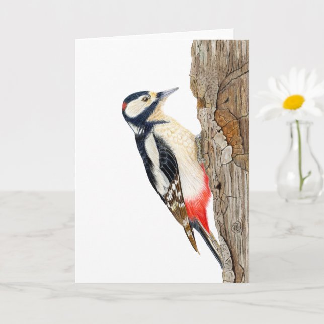 Beautiful Great spotted woodpecker  Card (Small Plant)