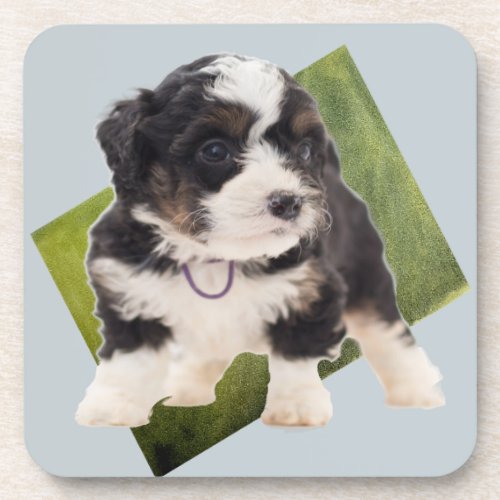 Beautiful Green Bernedoodle Puppy Art   Beverage Coaster