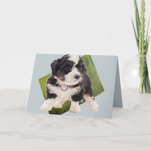 Beautiful Green Bernedoodle Puppy Art  Card