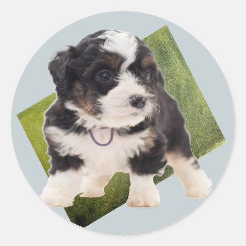 Beautiful Green Bernedoodle Puppy Art  Classic Round Sticker