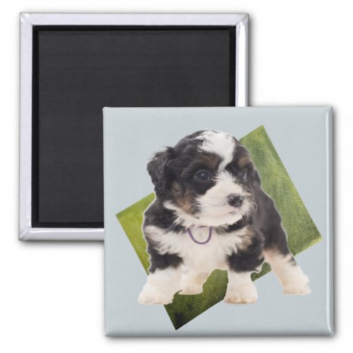 Beautiful Green Bernedoodle Puppy Art   Magnet