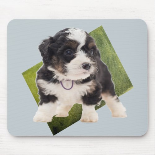 Beautiful Green Bernedoodle Puppy Art   Mouse Pad