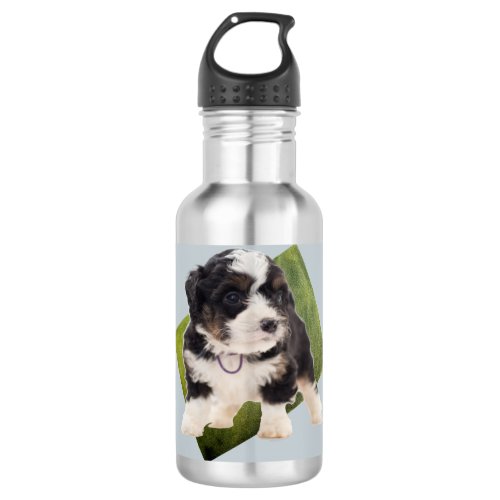 Beautiful Green Bernedoodle Puppy Art Thermal Tumb Stainless Steel Water Bottle
