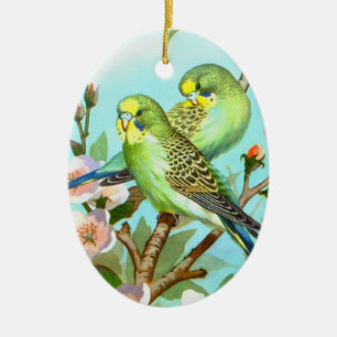 Beautiful green budgies ceramic ornament