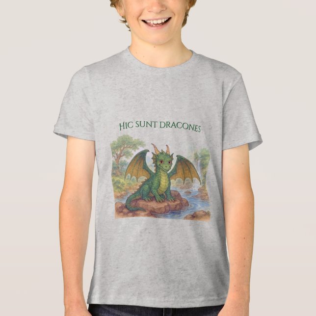 Beautiful green dragon Tri-Blend shirt (Front)