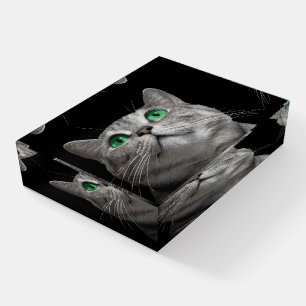 Beautiful Green Eyed Funny Gray Cat Paperweight