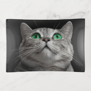 Beautiful Green Eyed Funny Gray Cat Trinket Tray