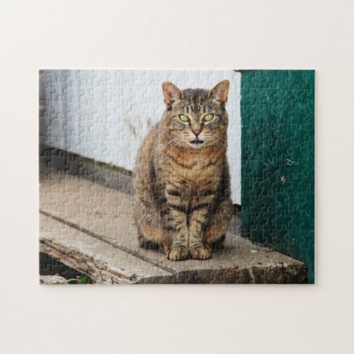Beautiful Green Eyed Tabby Cat Kitten Portrait Jigsaw Puzzle