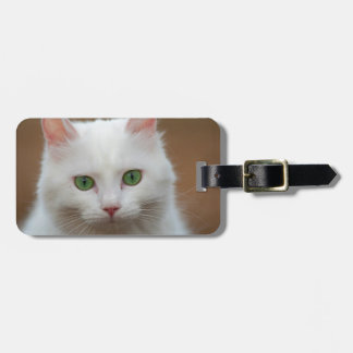 Beautiful green eyed white cat portrait. luggage tag