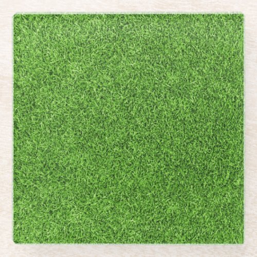Beautiful green grass texture from golf course glass coaster