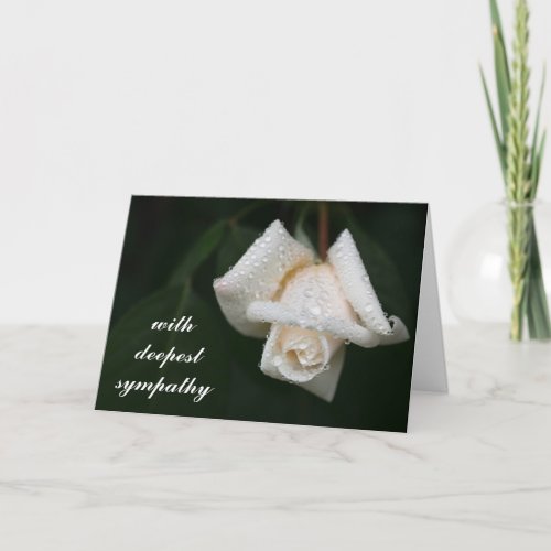 Beautiful Green Leaves White Rose Flower Sympathy  Card