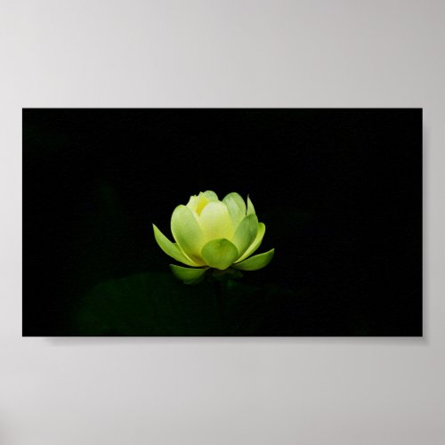 Beautiful Green LotusLakeZen  Poster