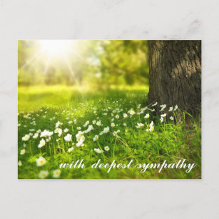 White Floral Deepest Sympathy Postcard, Zazzle