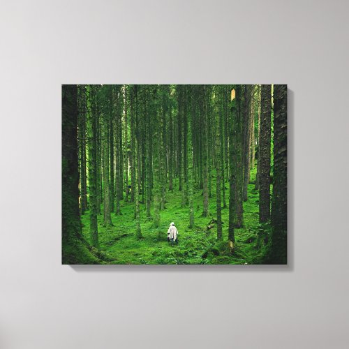 beautiful greenery forest  canvas print