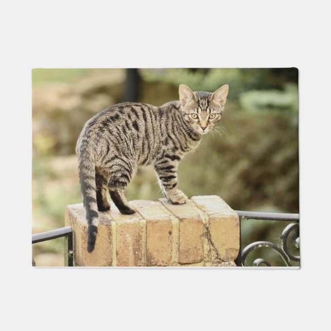 Beautiful Grey Black Bengal Kitten Doormat (Front)