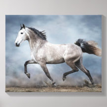 Beautiful Grey Horse Dramatic Sky Sandy Landscape