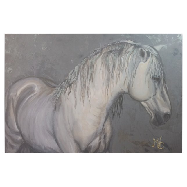 Beautiful Grey Horse with Dark Background  Gallery Wrap (Front)