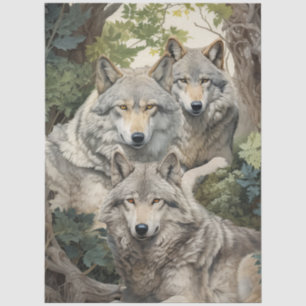 Beautiful Grey Wolf Pack in The Forest Decoupage  Tissue Paper
