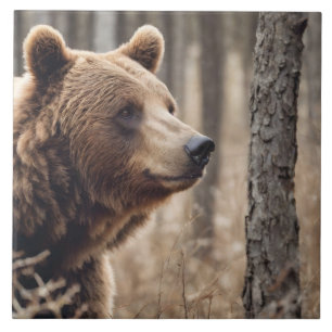 Beautiful Grizzly Bear Portrait Brown Bear 3a Ceramic Tile
