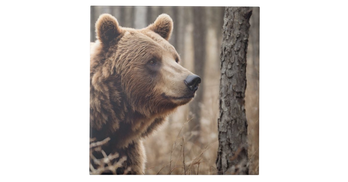 Beautiful Grizzly Bear Portrait Brown Bear