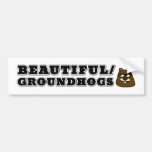 Beautiful/Groundhogs Bumper Sticker