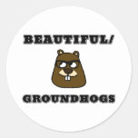 Beautiful/Groundhogs Classic Round Sticker