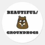 Beautiful/Groundhogs Classic Round Sticker