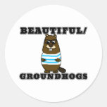Beautiful/Groundhogs Classic Round Sticker