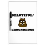 Beautiful/Groundhogs Dry Erase Board