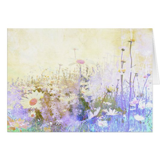 Beautiful grunge meadow of daisies, blank card (Front Horizontal)