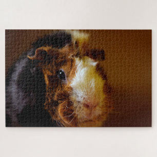 Beautiful Guinea Pig, Jigsaw Puzzle